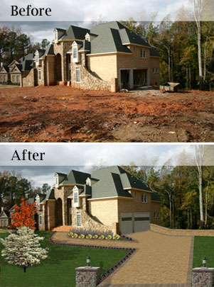 Before/After image made with imaging software